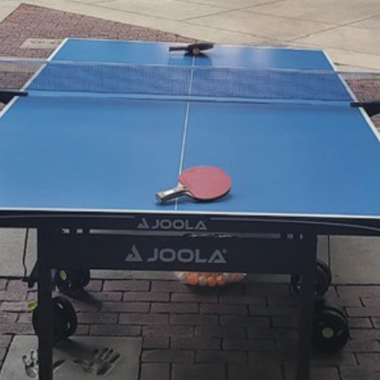 blue outdoor ping pong table