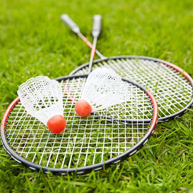 badminton rackets and birdies