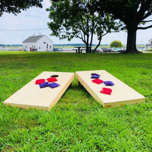 Corhole boards with bags