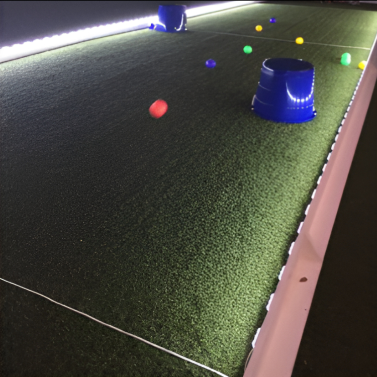 Bocce Ball W/LED court
