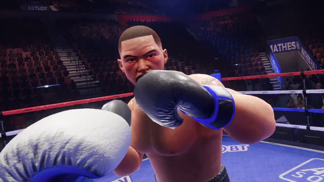 Virtual Reality Boxing Arcade Game
