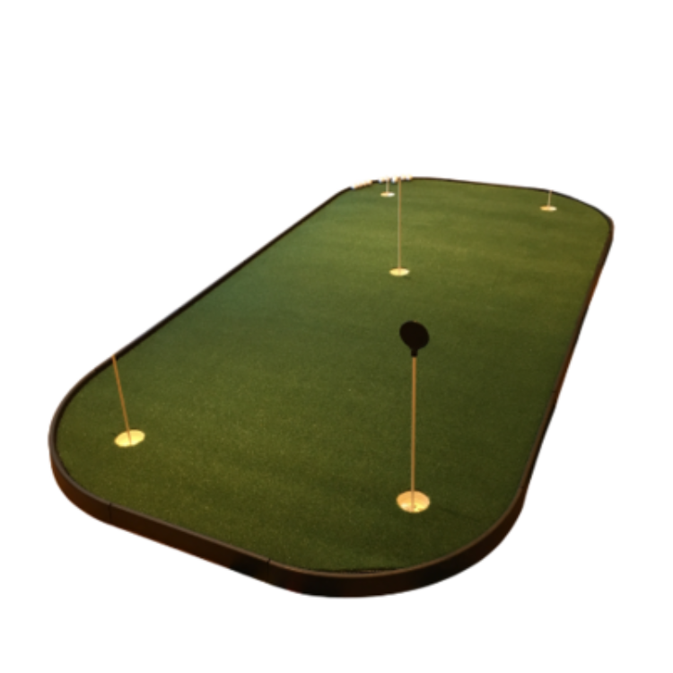 pro putt green