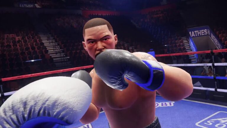 Virtual Reality Boxing Arcade Game